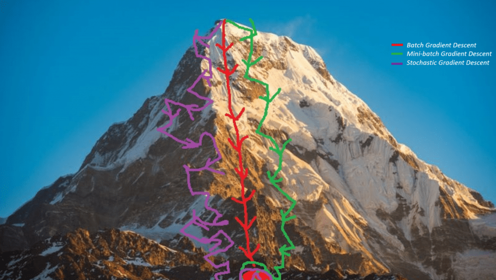 برآورد ضرایب مدل